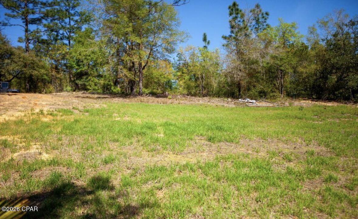 3779 Payne Lake Road Chipley, FL 32428 - Photo 10 of 11