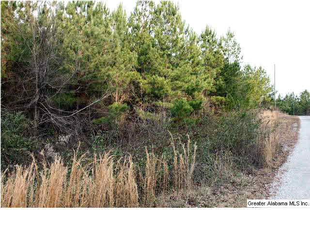 0 Hughes Road, Unit LOT 2A Columbiana, AL 35051 - Photo 3 of 4