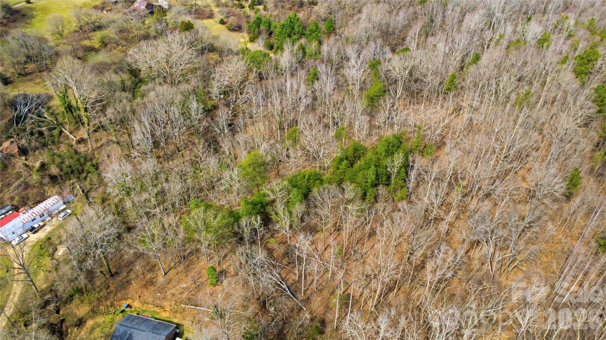 530-2 Waco Road Kings Mountain, NC 28086 - Photo 18 of 27 a view of a tree with a yard