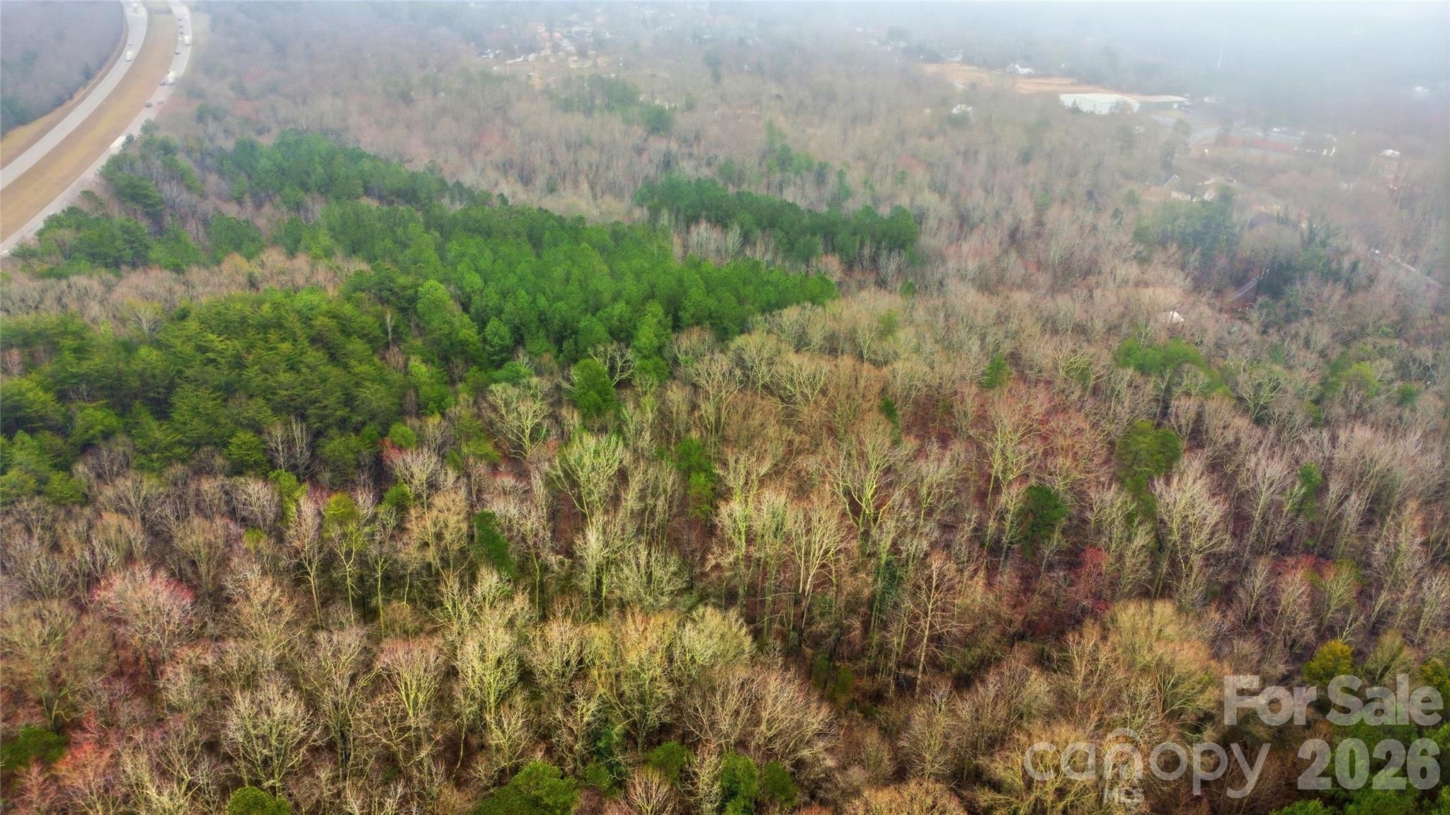 530-2 Waco Road Kings Mountain, NC 28086 - Photo 2 of 27 a view of a lush green forest with lots of trees