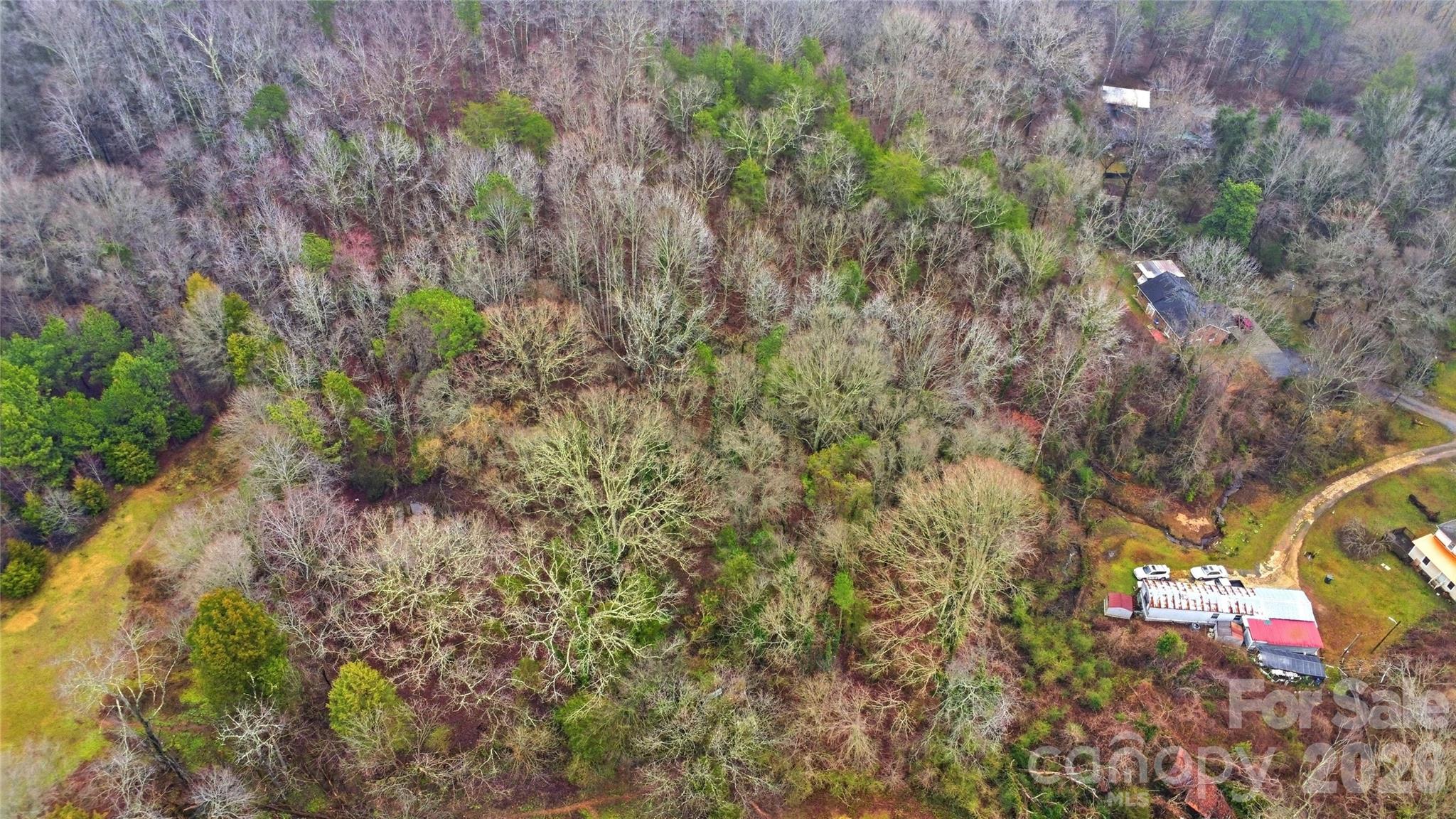 530-2 Waco Road Kings Mountain, NC 28086 - Photo 6 of 27 a view of a tree with a plant