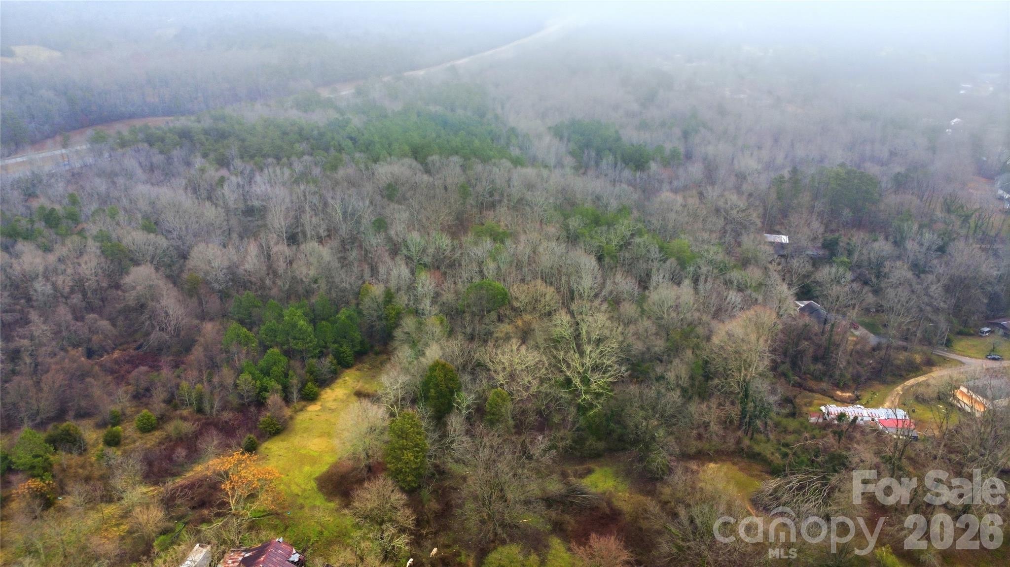530-2 Waco Road Kings Mountain, NC 28086 - Photo 9 of 27 a view of a yard with plants and large trees