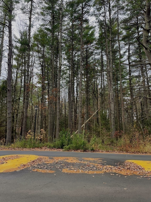 0 Heatherstone Road Amherst, MA 01002 - Photo 7 of 11 a view of a backyard of a house