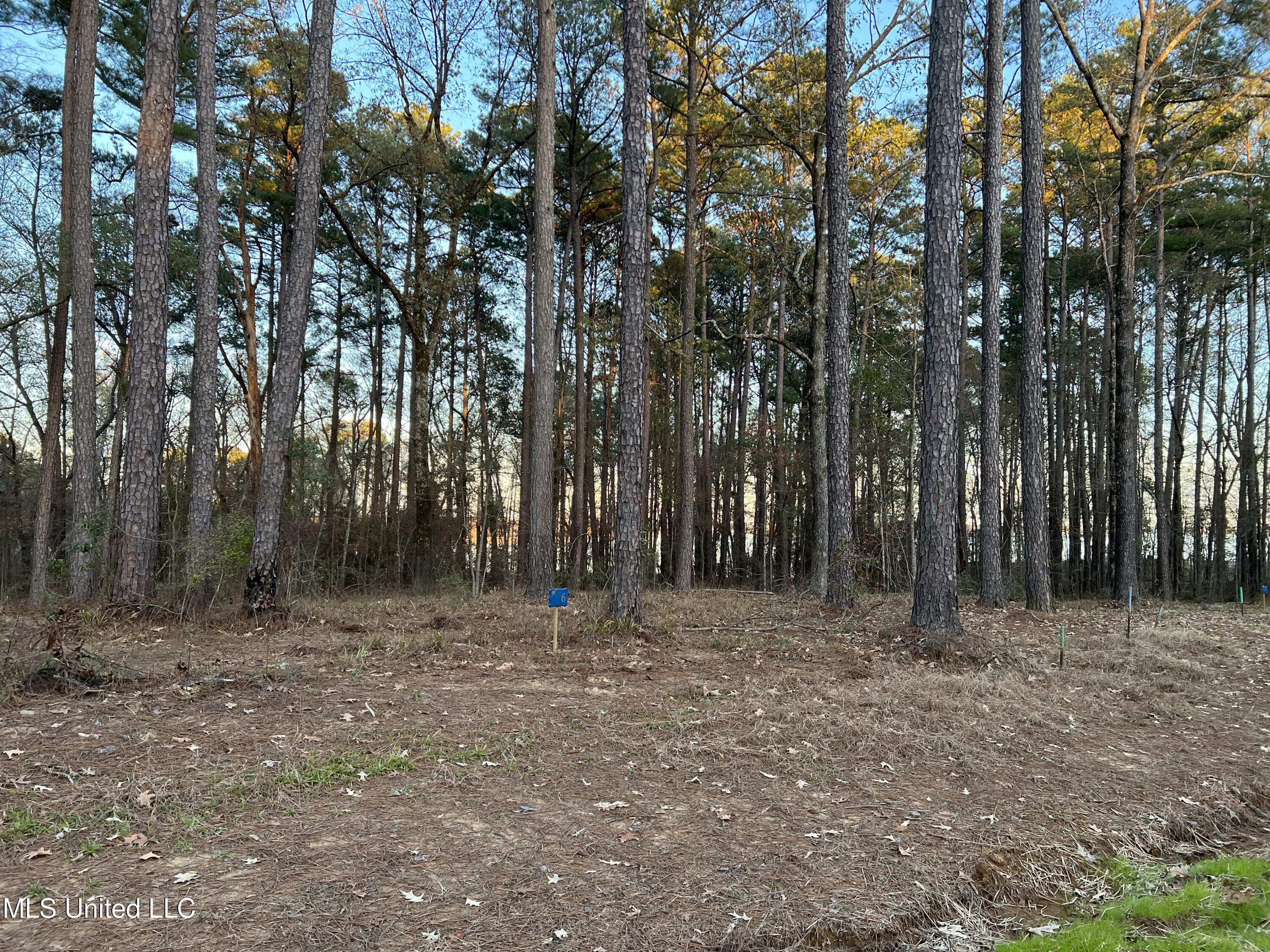 138 Apollo Way Canton, MS 39046 - Photo 3 of 10 Expedition Point lot 6