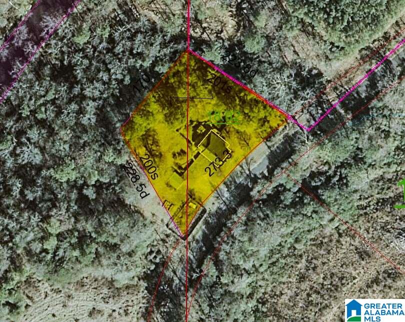 441 Pine Grove Road Oneonta, AL 35121 - Photo 4 of 44 Gallery Image 4