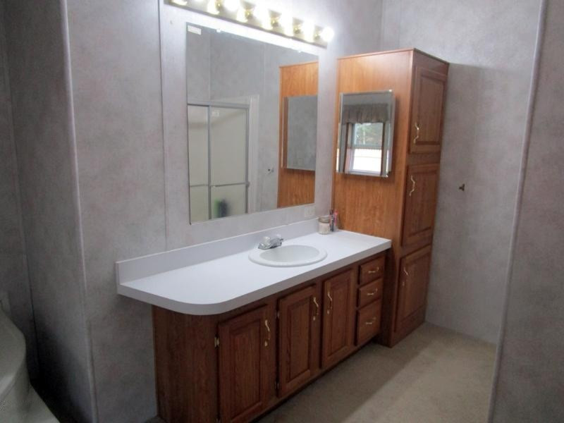 494 14 Mile Road Remus, MI 49340 - Photo 6 of 26 6 Master Bath