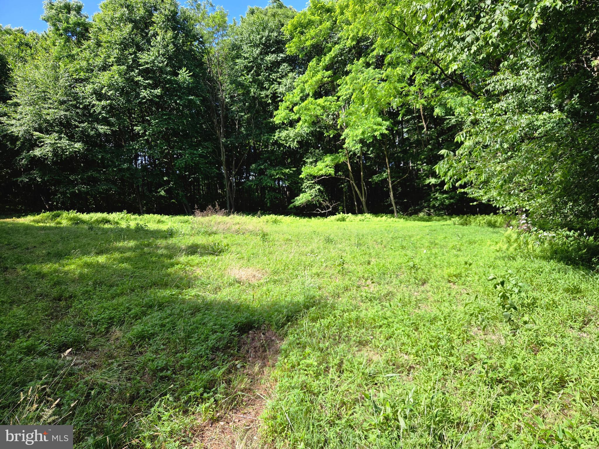 0 Carlisle Gap Road Lewistown, PA 17044 - Photo 31 of 53