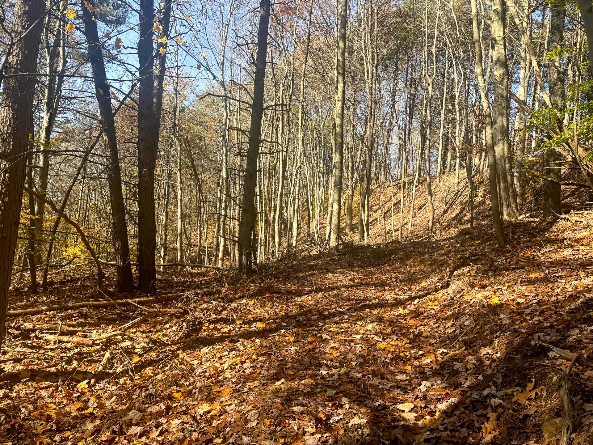 908 Nibert Road, Unit PONDS POPLAR RIDGE TRACT 2) Gallipolis, OH 45631 - Photo 8 of 25 CT-8