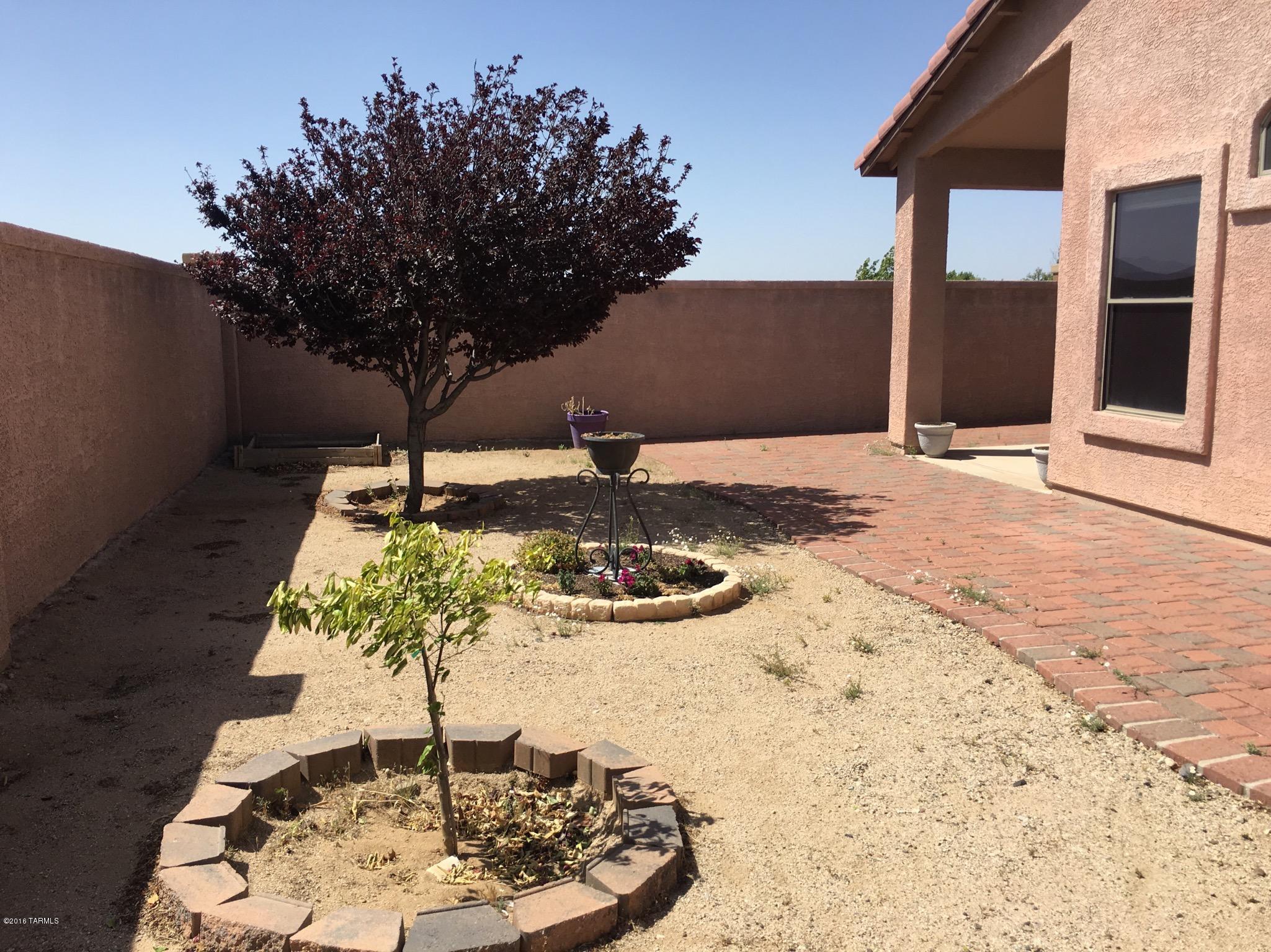 60335 East Blackcrest Loop Tucson, AZ 85739 - Photo 22 of 30