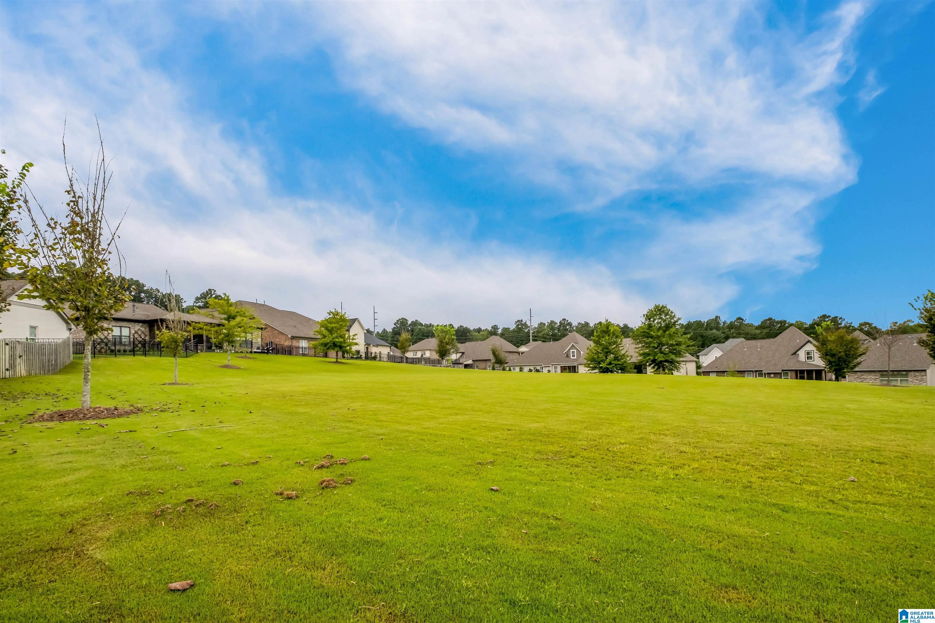 4724 Jackson Loop Birmingham, AL 35242 - Photo 48 of 58