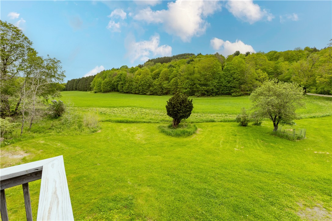 161 Bell Hill Road New Lisbon, NY 13342 - Photo 9 of 46