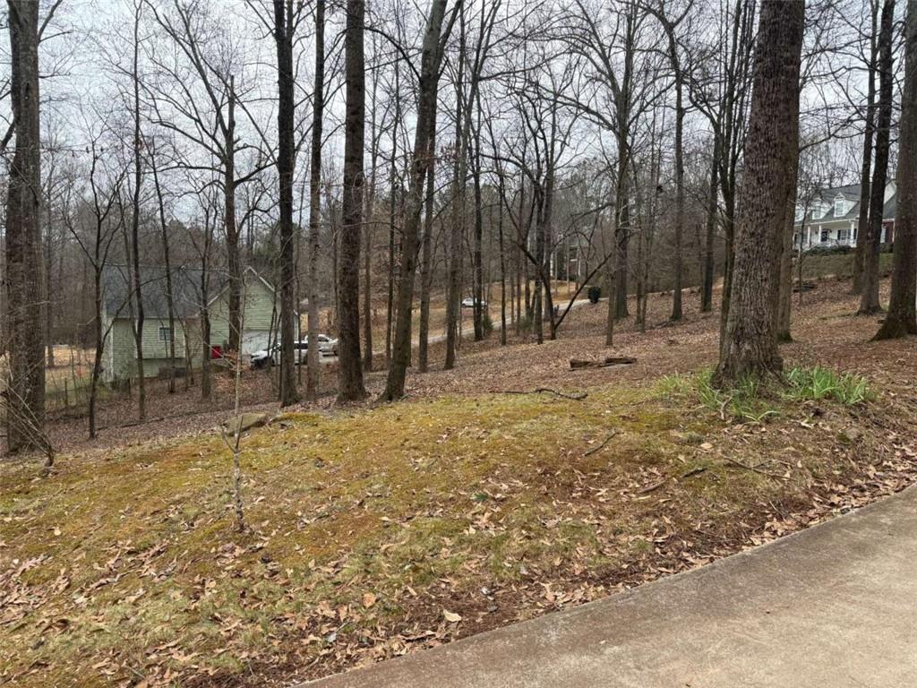 45 River Chase Hoschton, GA 30548 - Photo 7 of 58