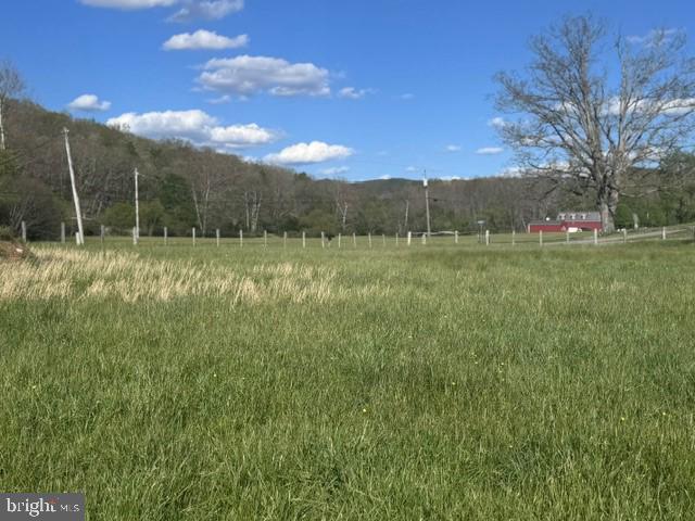 Tbd Shaffers Run Road Mill Creek, WV 26280 - Photo 20 of 43