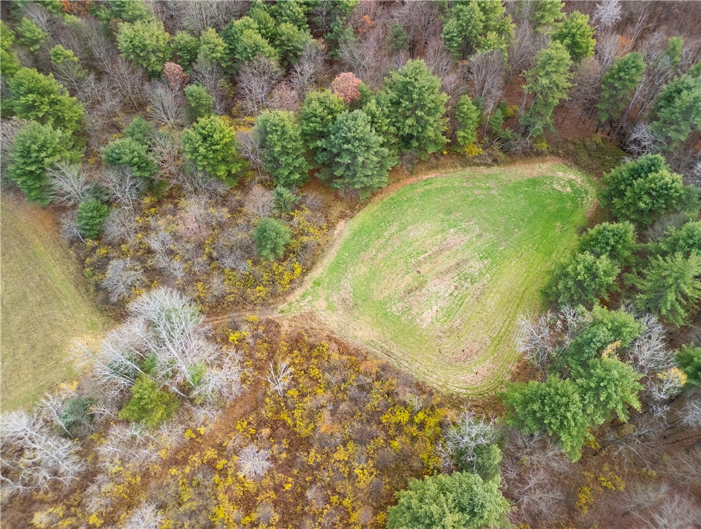 3444 County Route 2 Addison, NY 14801 - Photo 11 of 25