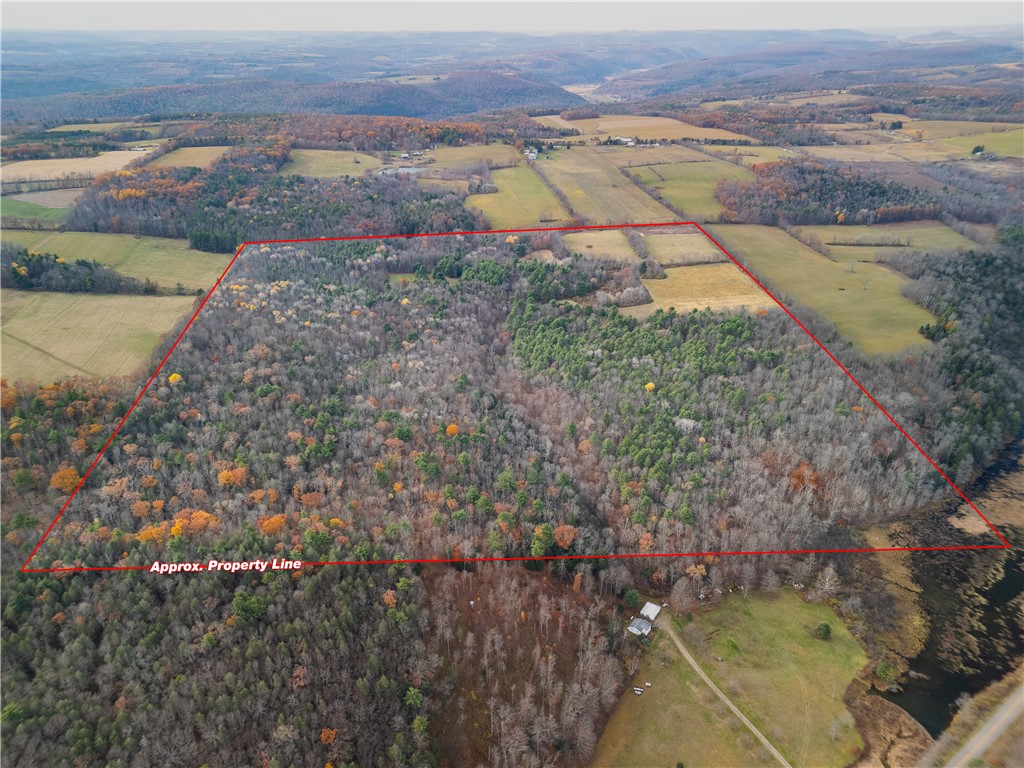 3444 County Route 2 Addison, NY 14801 - Photo 4 of 25