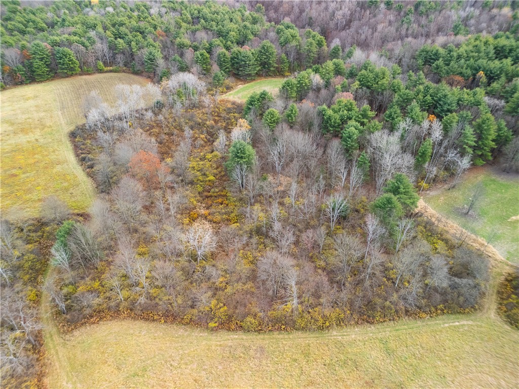 3444 County Route 2 Addison, NY 14801 - Photo 10 of 25