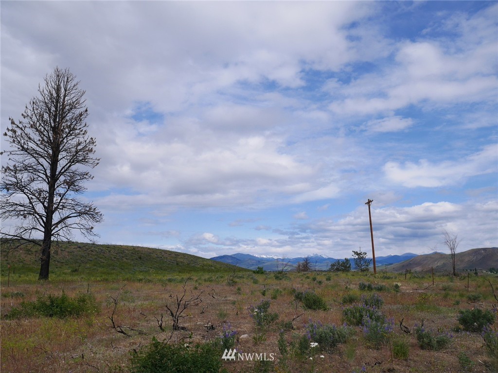 10 Signal Hill Road Twisp, WA 98856 - Photo 1 of 19 Gallery Image 1