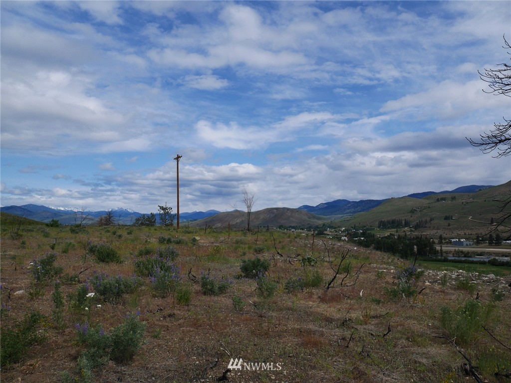 10 Signal Hill Road Twisp, WA 98856 - Photo 2 of 19 Gallery Image 2