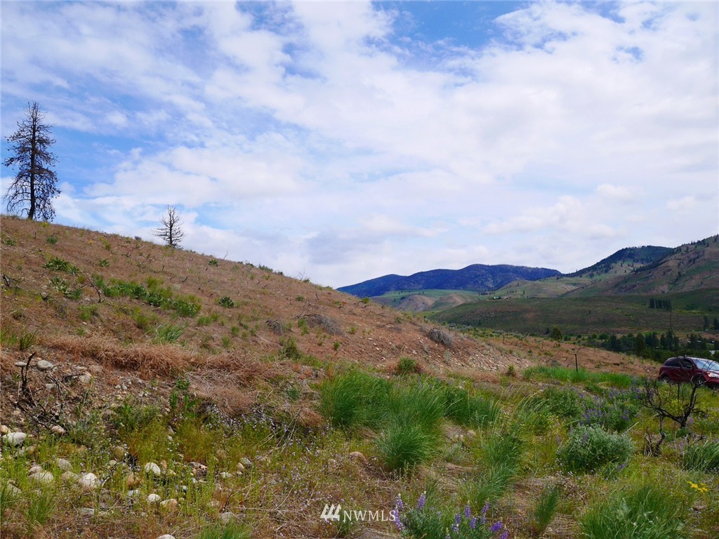 10 Signal Hill Road Twisp, WA 98856 - Photo 11 of 19 Gallery Image 11