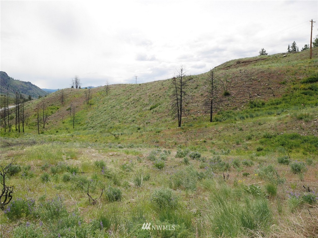 10 Signal Hill Road Twisp, WA 98856 - Photo 12 of 19 Gallery Image 12