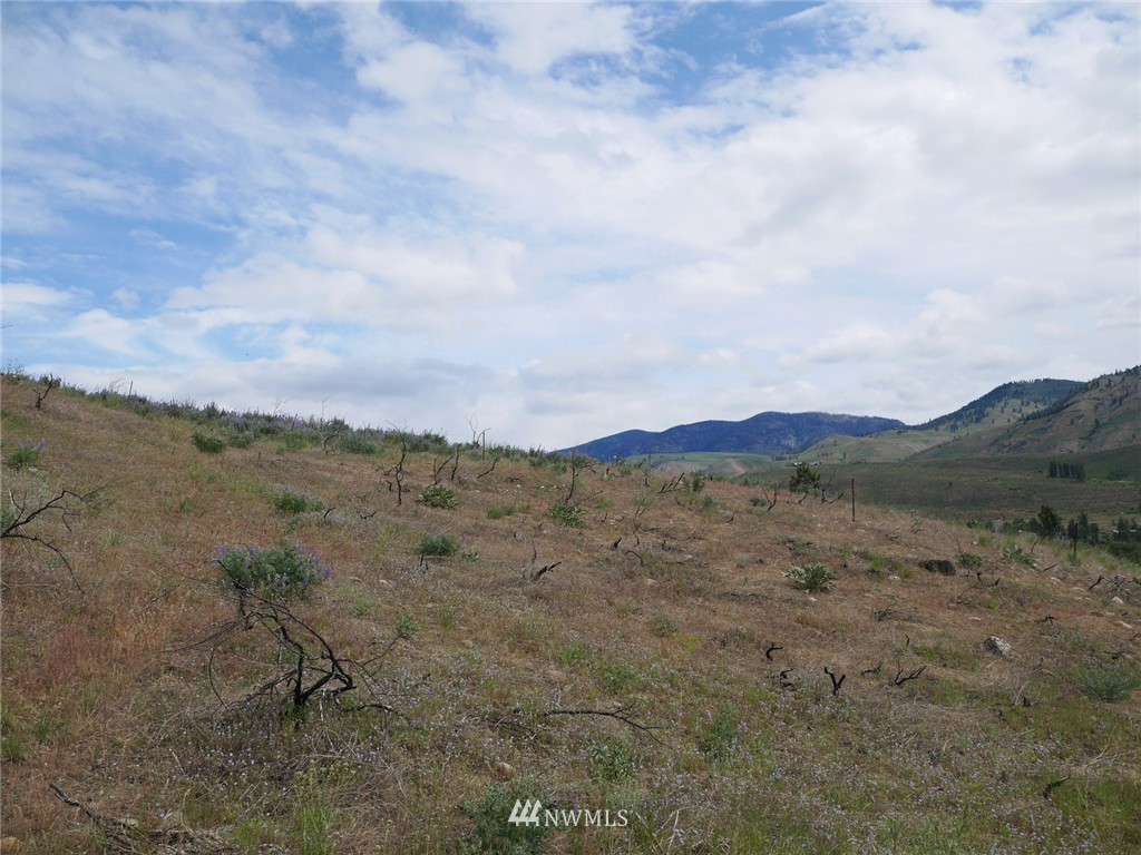 10 Signal Hill Road Twisp, WA 98856 - Photo 13 of 19 Gallery Image 13