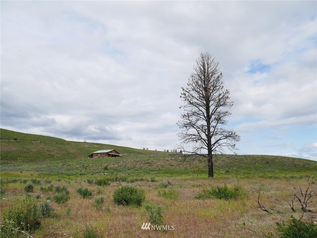 10 Signal Hill Road Twisp, WA 98856 - Photo 15 of 19 Gallery Image 15