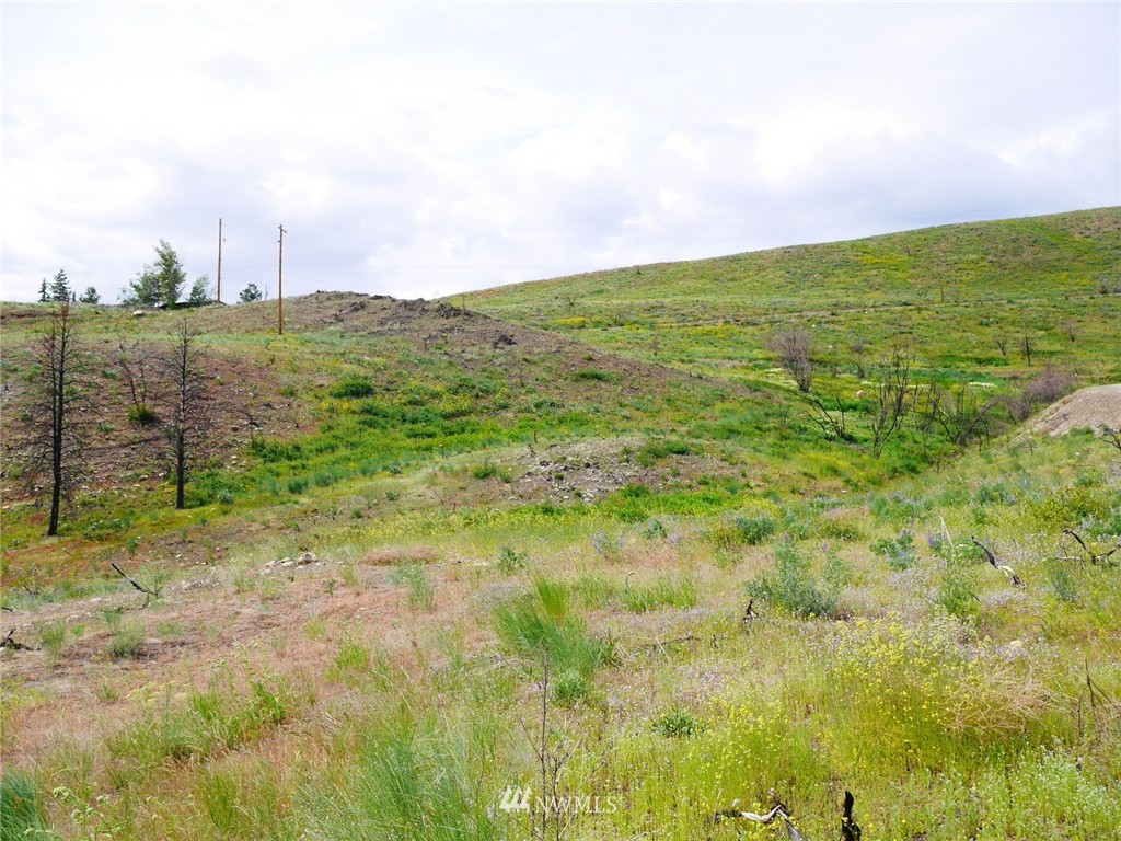10 Signal Hill Road Twisp, WA 98856 - Photo 6 of 19 Gallery Image 6