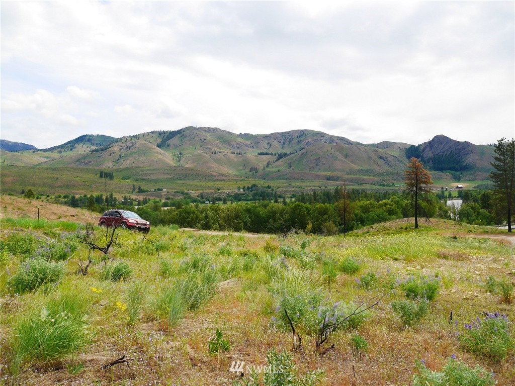 10 Signal Hill Road Twisp, WA 98856 - Photo 10 of 19 Gallery Image 10
