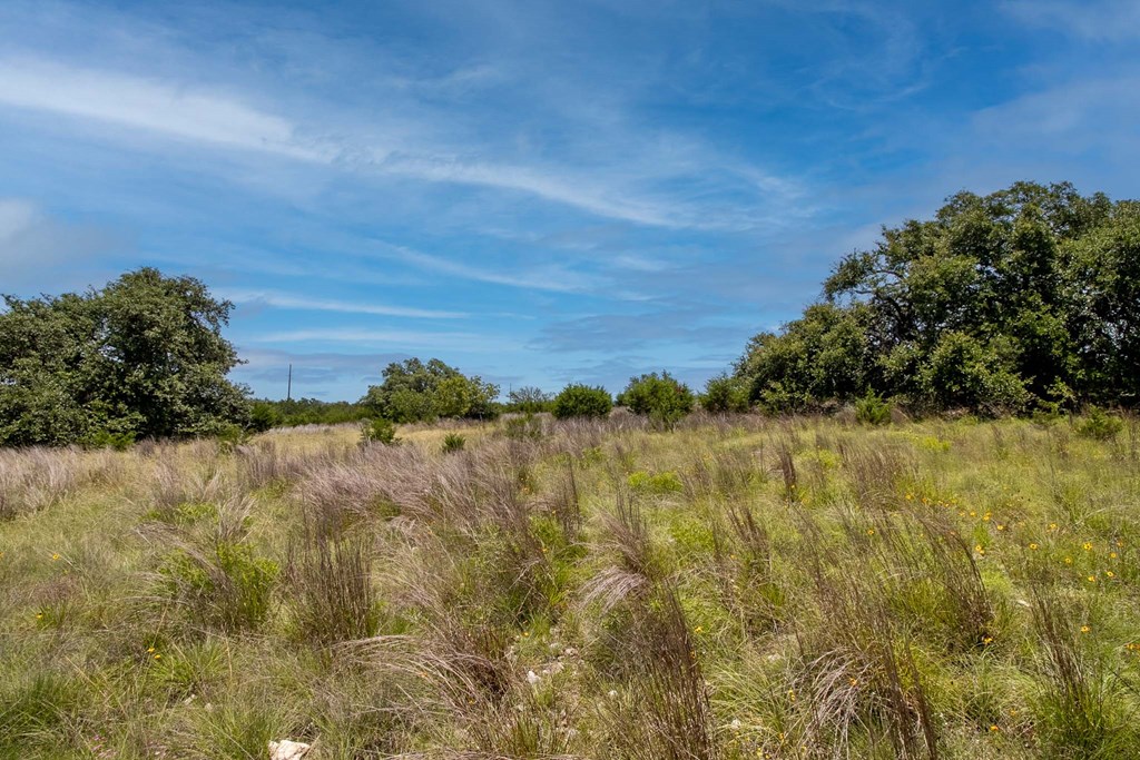 0 Quail Run Road Mountain Home, TX 78058 - Photo 6 of 8