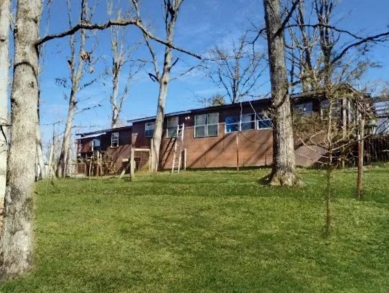 a view of a back yard of the house