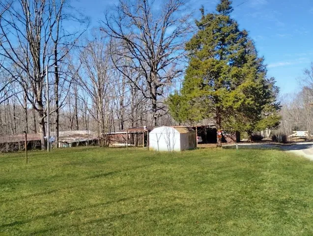 a view of a park with large trees