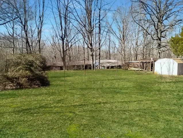 a view of a park with large trees