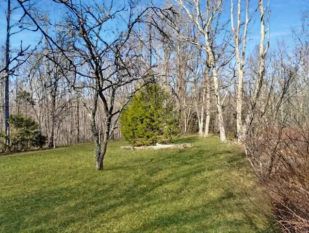 a view of yard with tree