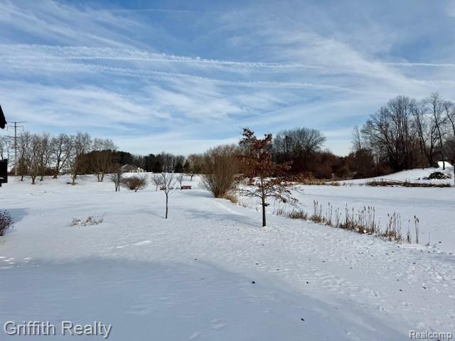 5748 West Coon Lake Road Howell, MI 48843 - Photo 67 of 74