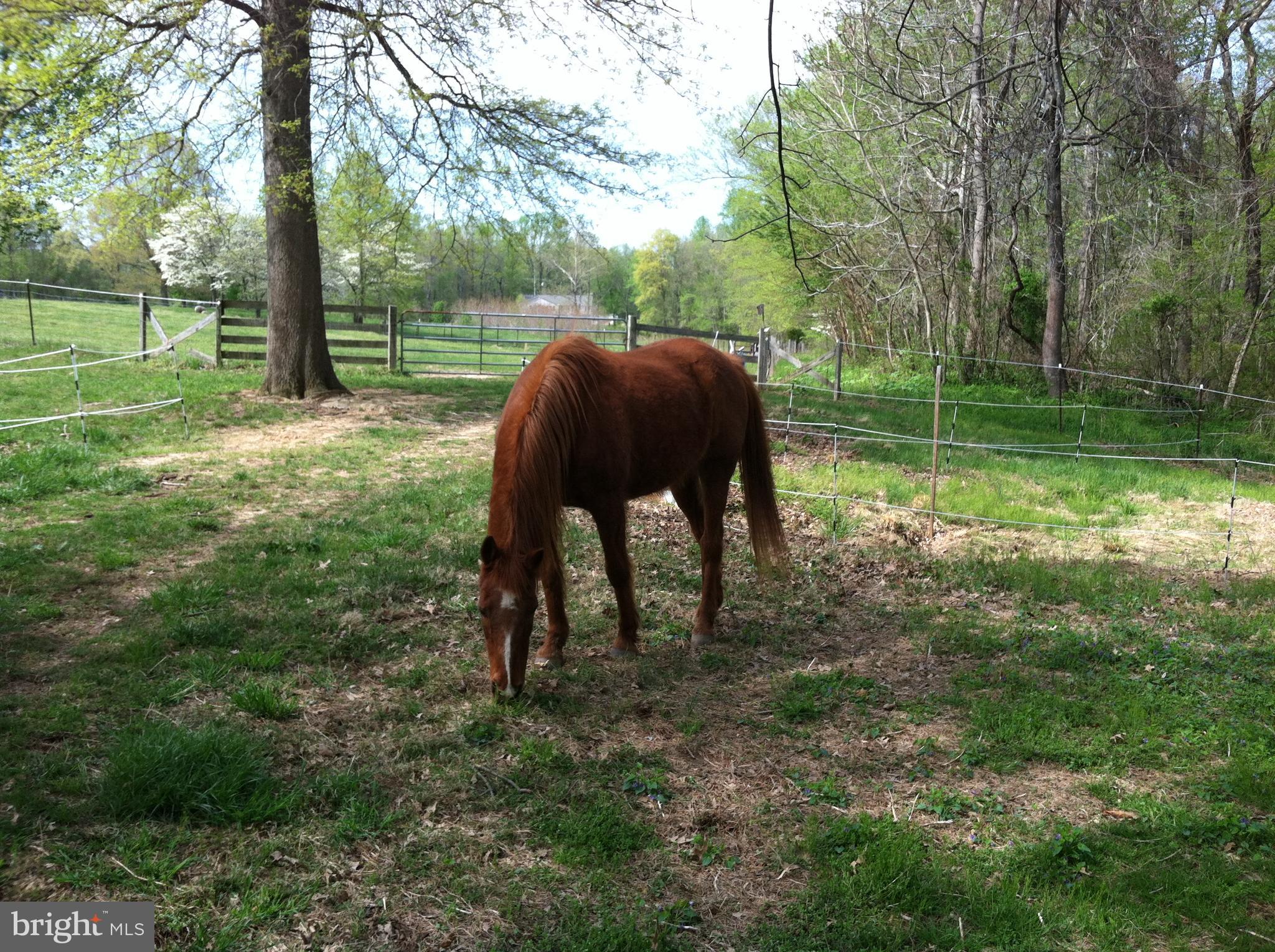 65 West Bay Front Road Lothian, MD 20711 - Photo 3 of 21