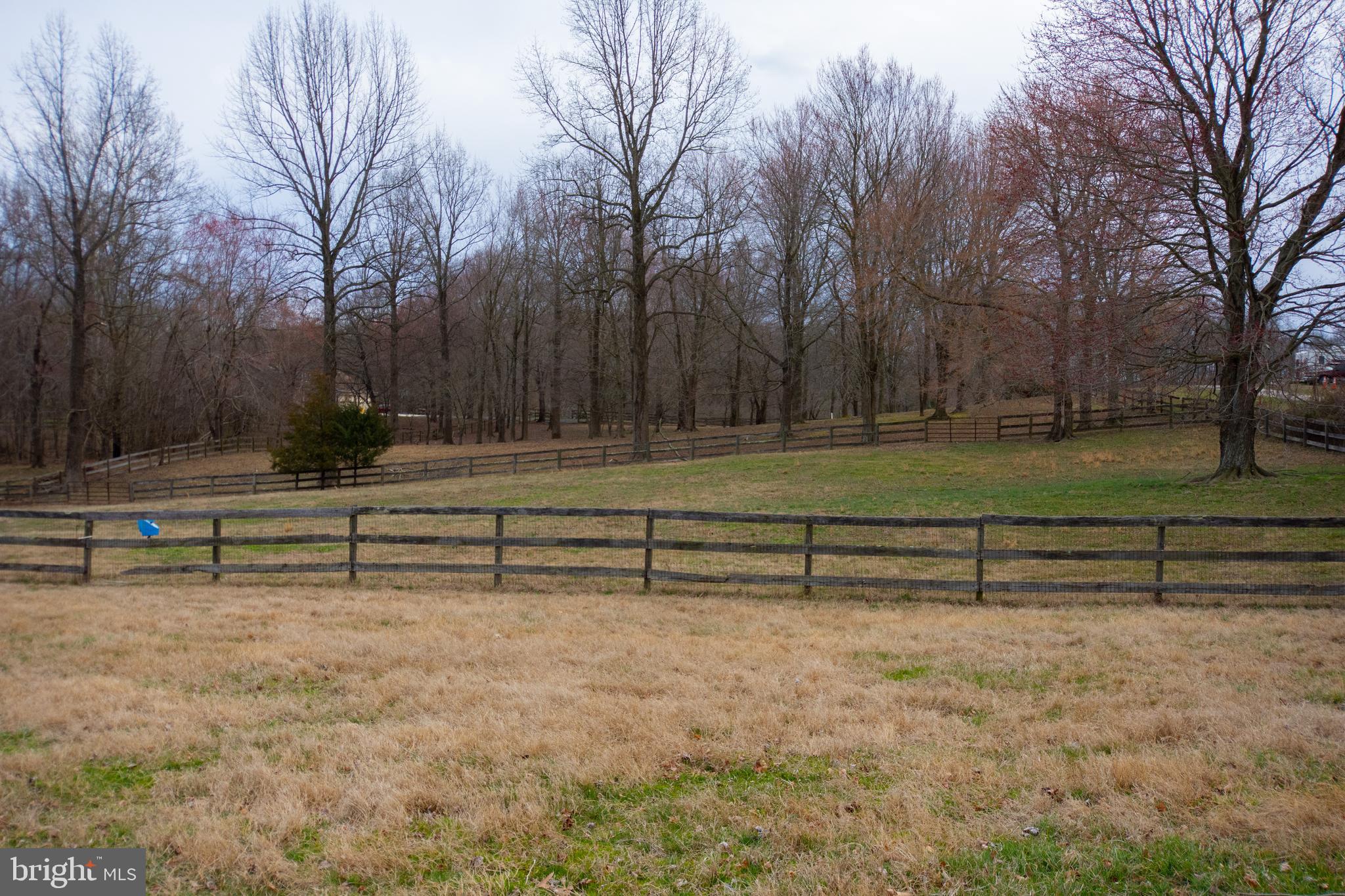 65 West Bay Front Road Lothian, MD 20711 - Photo 8 of 21