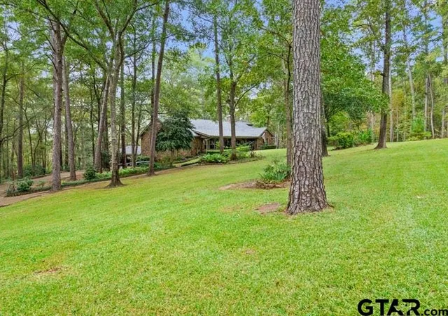 a view of a trees with a yard