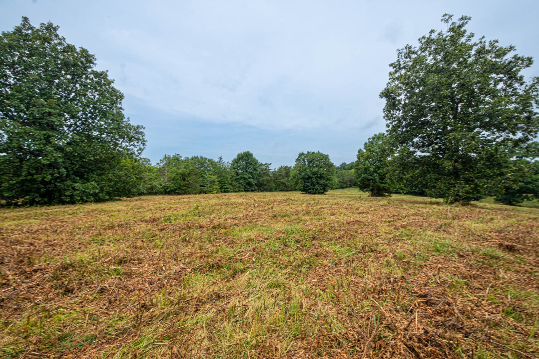 0 Joe Gulley Road Pulaski, TN 38478 - Photo 11 of 42