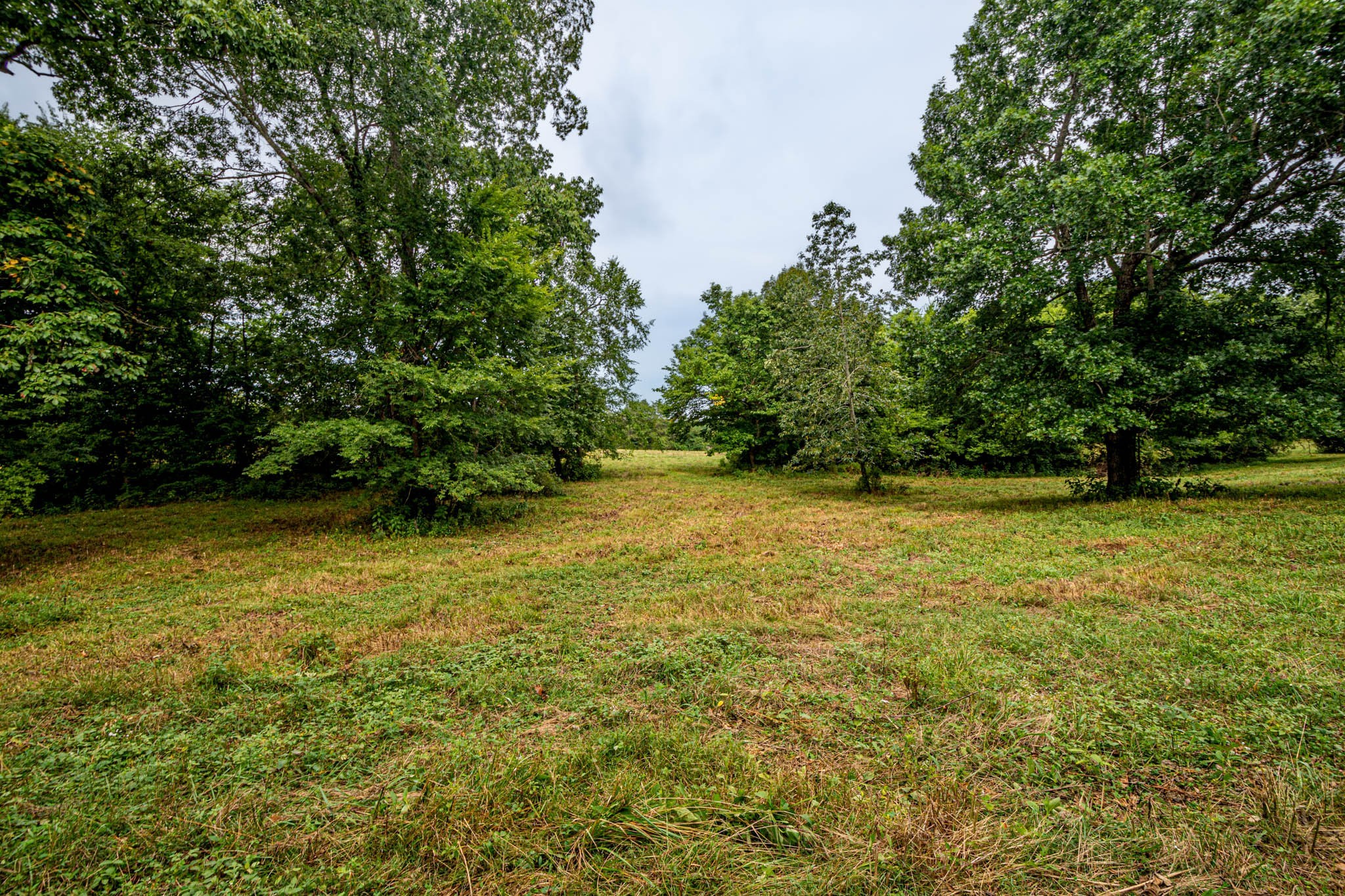 0 Joe Gulley Road Pulaski, TN 38478 - Photo 12 of 42 a view of outdoor space and yard