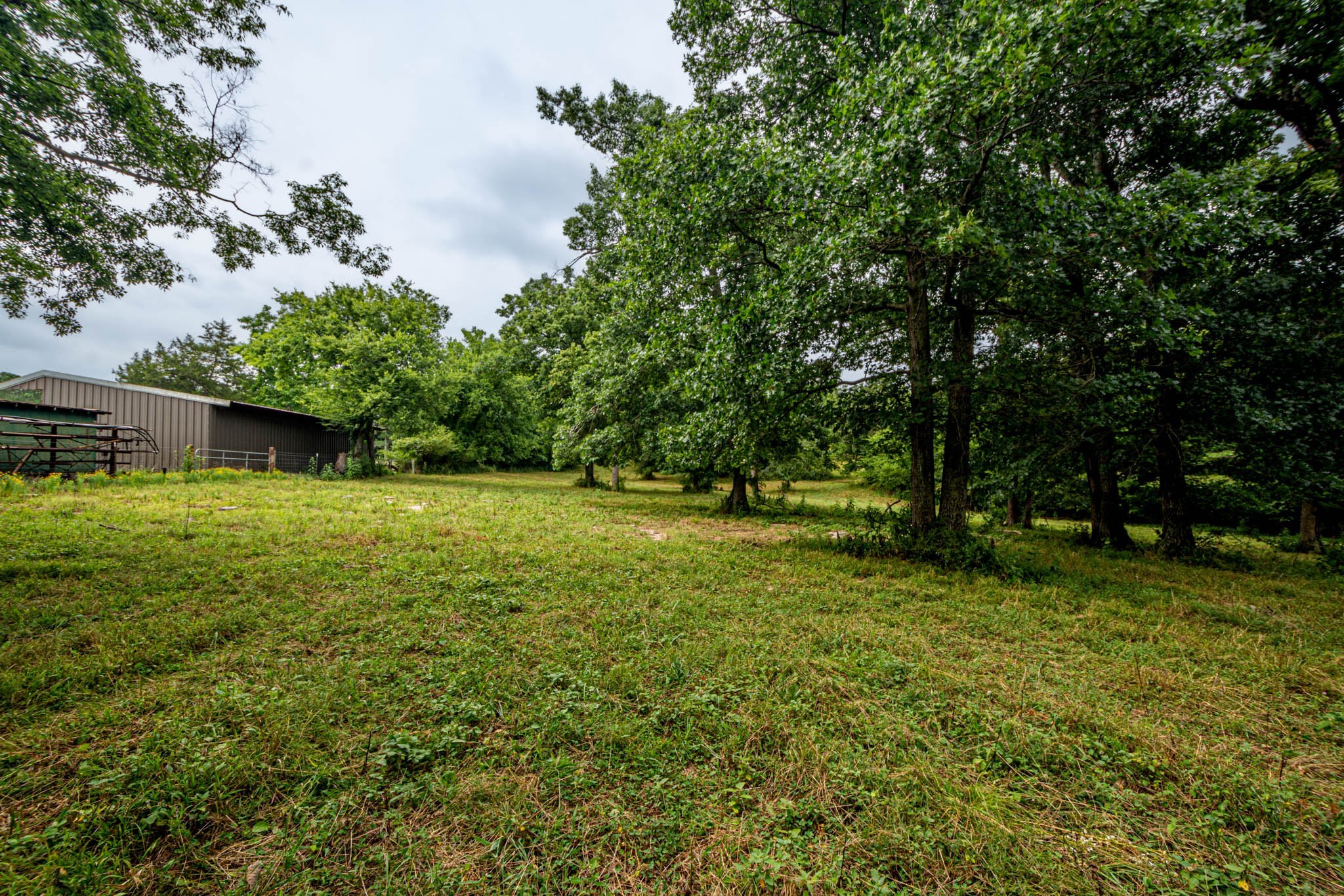 0 Joe Gulley Road Pulaski, TN 38478 - Photo 13 of 42 a view of yard with green space