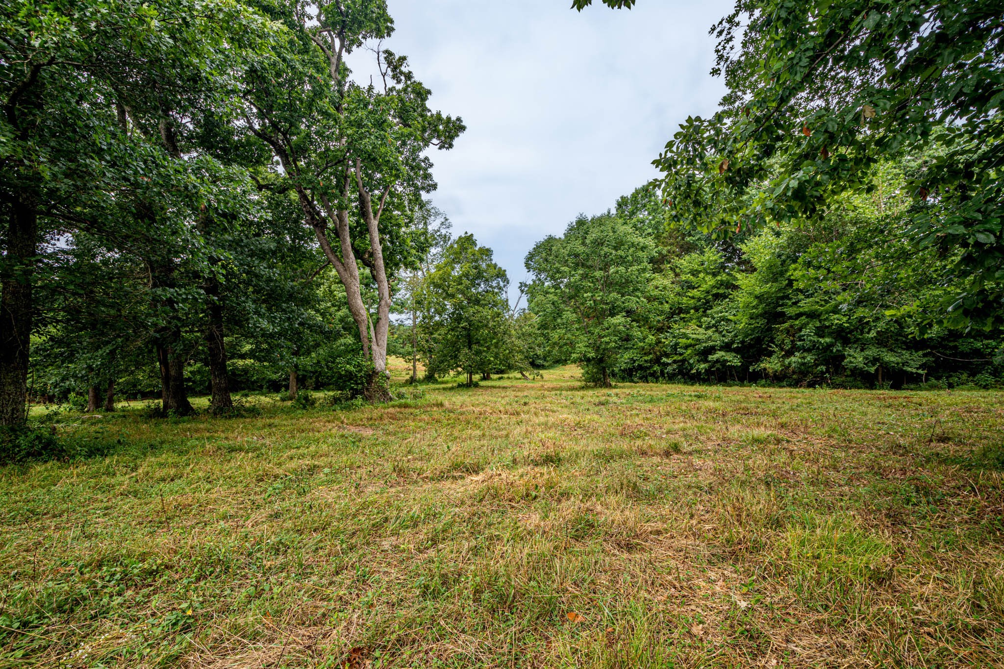 0 Joe Gulley Road Pulaski, TN 38478 - Photo 14 of 42 a view of a field with trees in the background