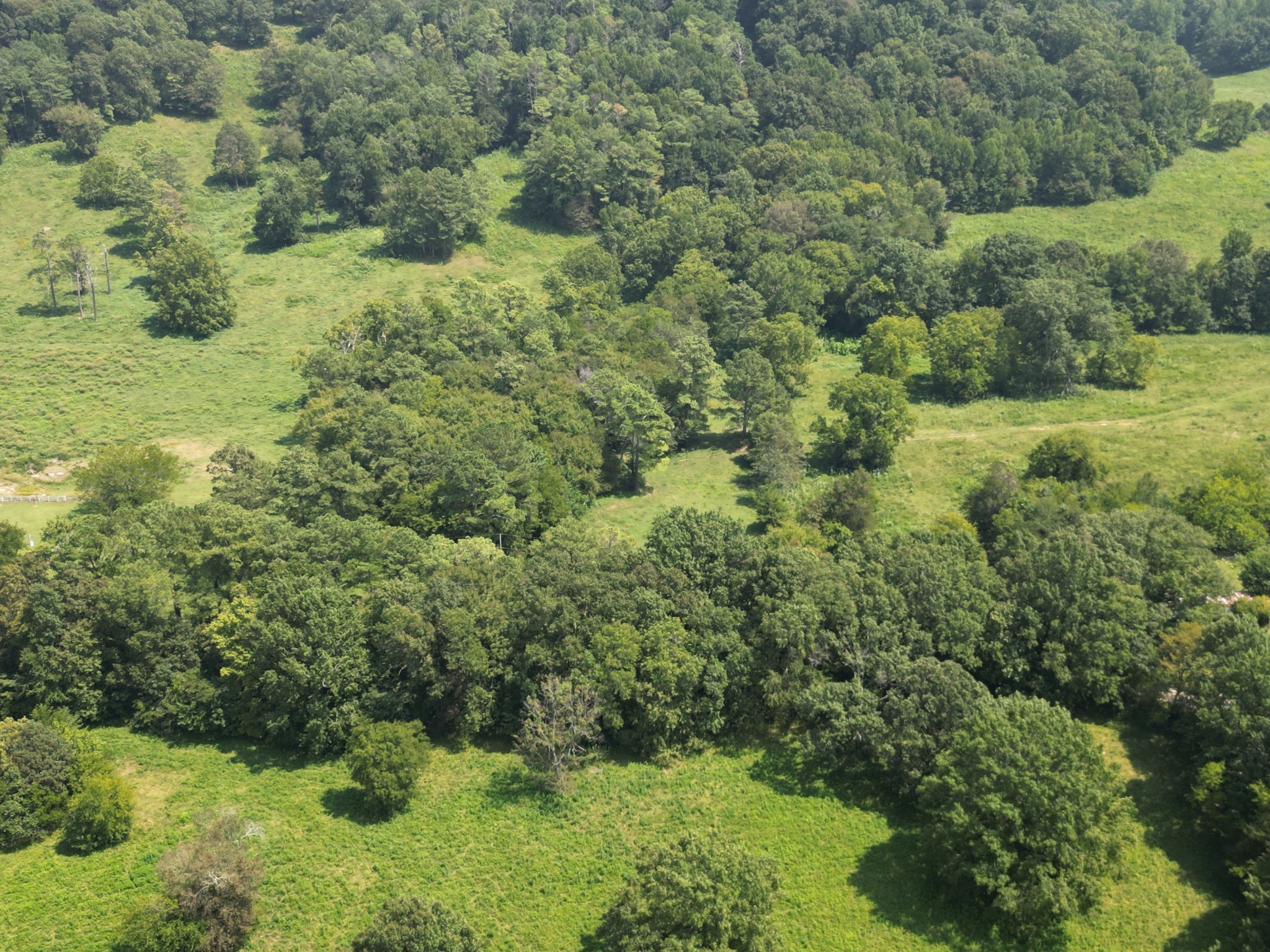 0 Joe Gulley Road Pulaski, TN 38478 - Photo 15 of 42 a view of a lush green forest with trees and houses