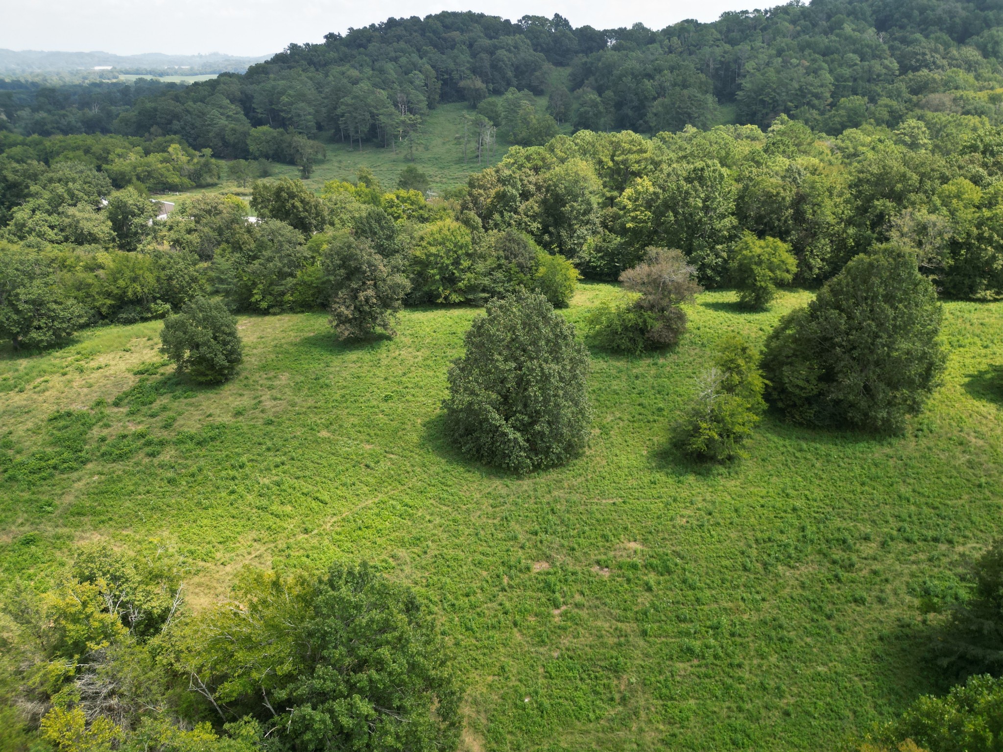0 Joe Gulley Road Pulaski, TN 38478 - Photo 16 of 42 a view of a lush green forest with trees and some houses