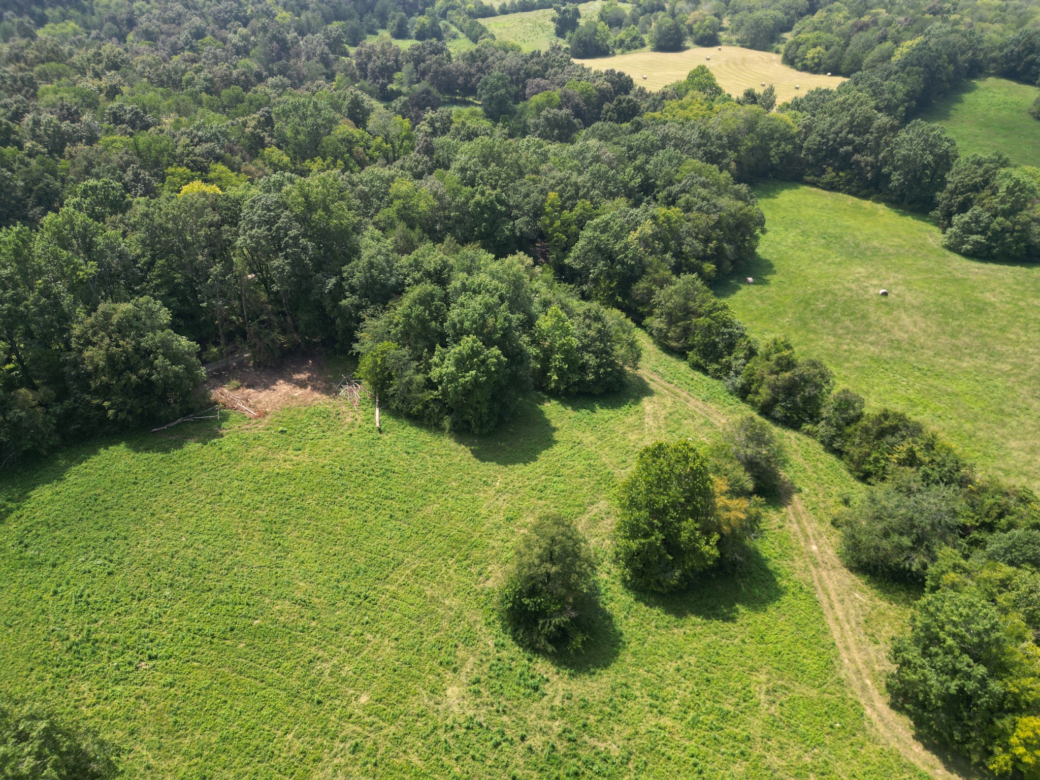0 Joe Gulley Road Pulaski, TN 38478 - Photo 20 of 42 an aerial view of residential houses with outdoor space and trees