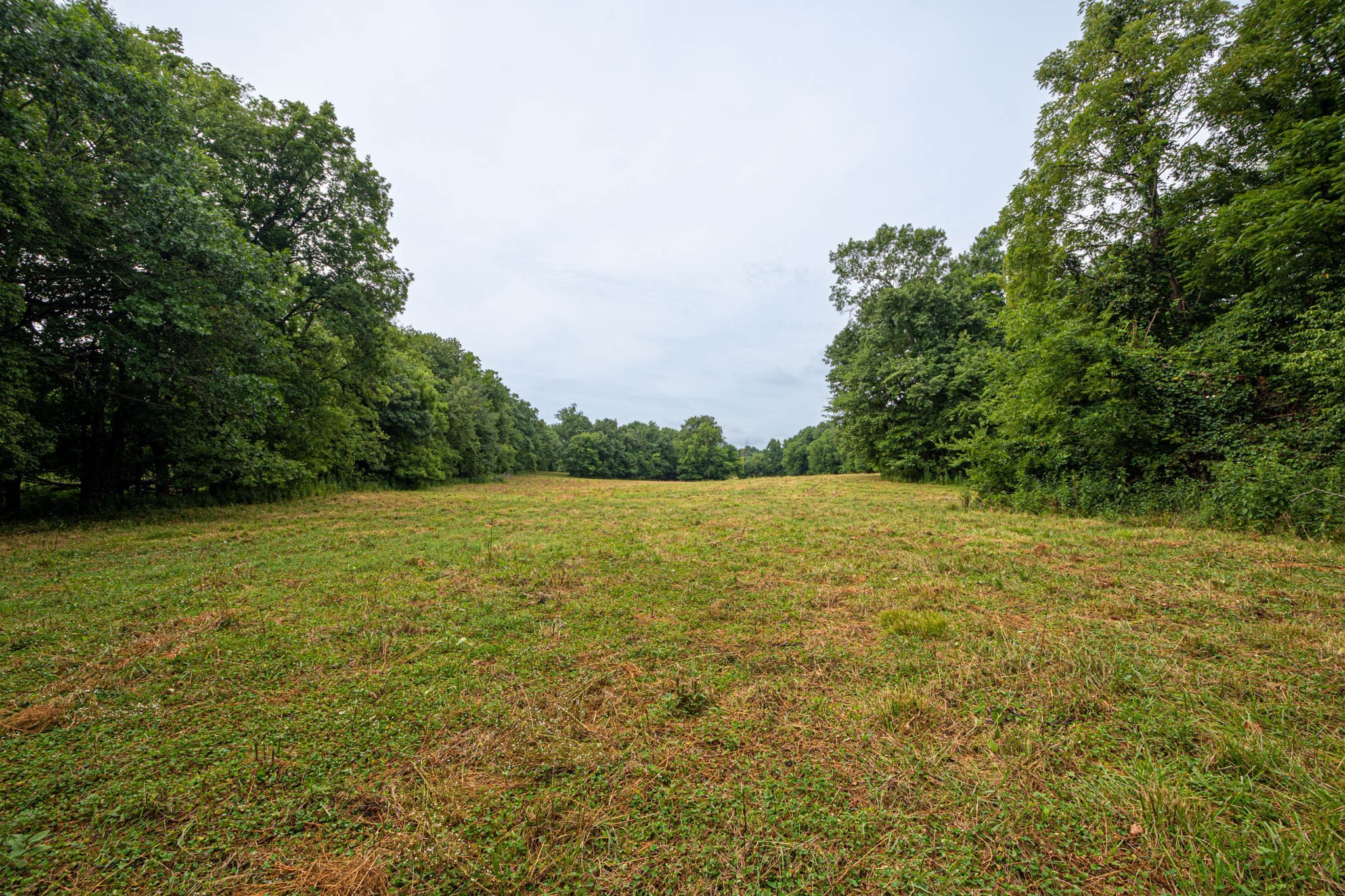 0 Joe Gulley Road Pulaski, TN 38478 - Photo 2 of 42 a view of a yard with an outdoor space
