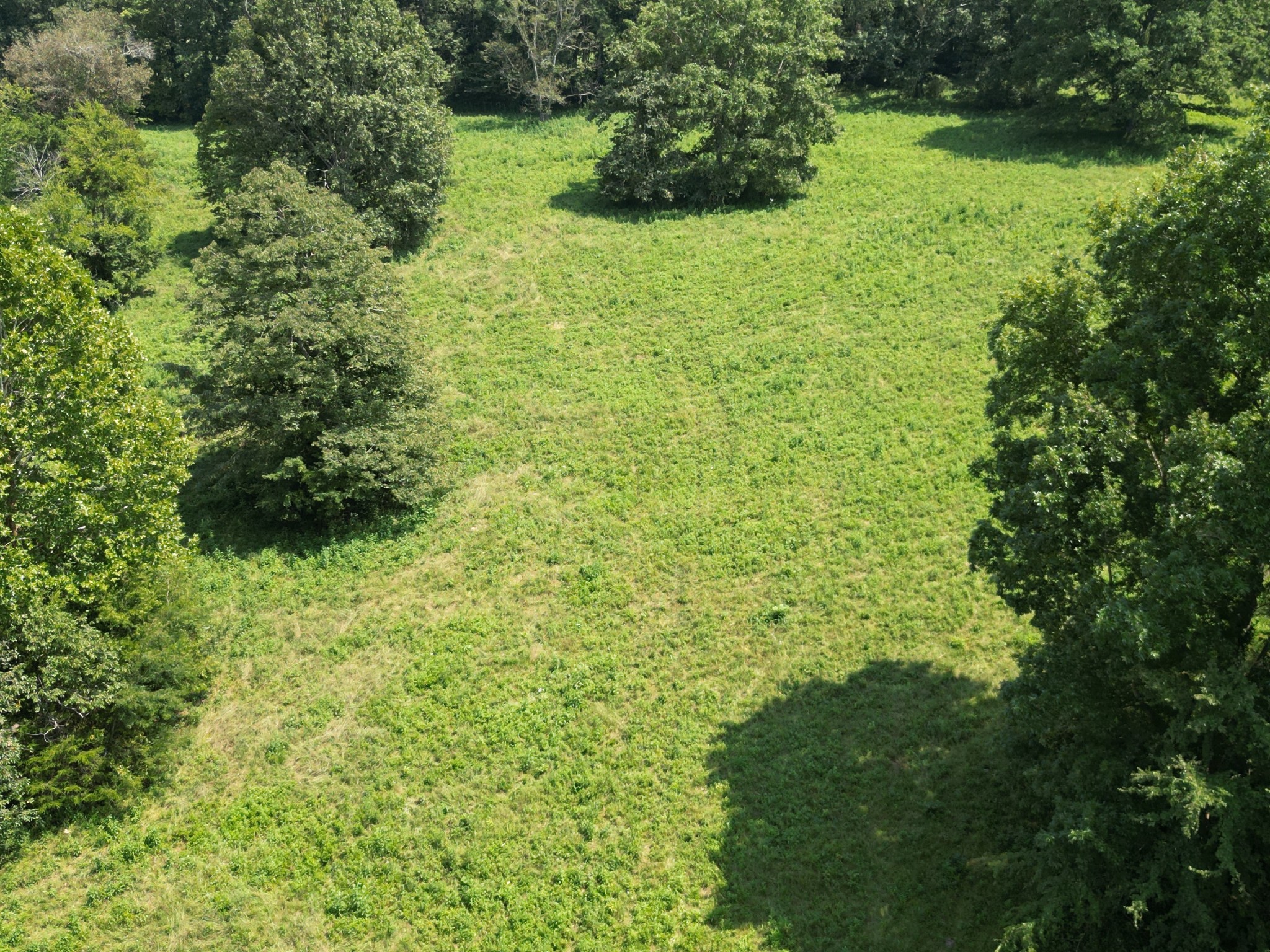0 Joe Gulley Road Pulaski, TN 38478 - Photo 22 of 42 a view of a garden