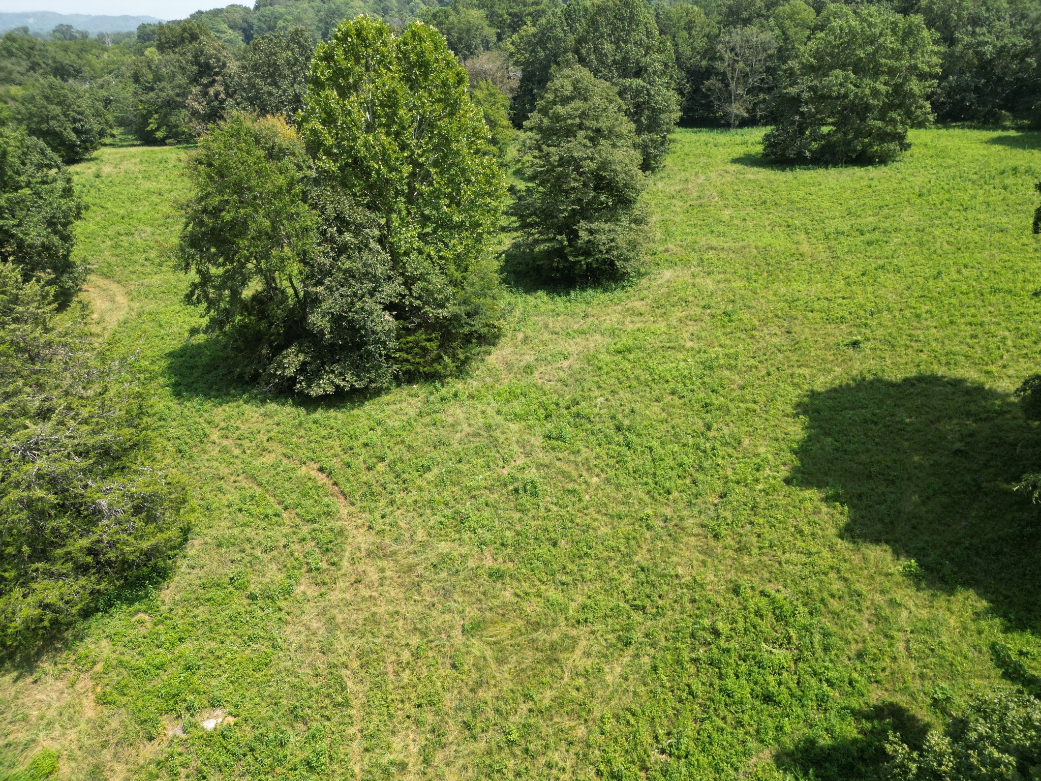 0 Joe Gulley Road Pulaski, TN 38478 - Photo 23 of 42 a view of an outdoor space and a yard