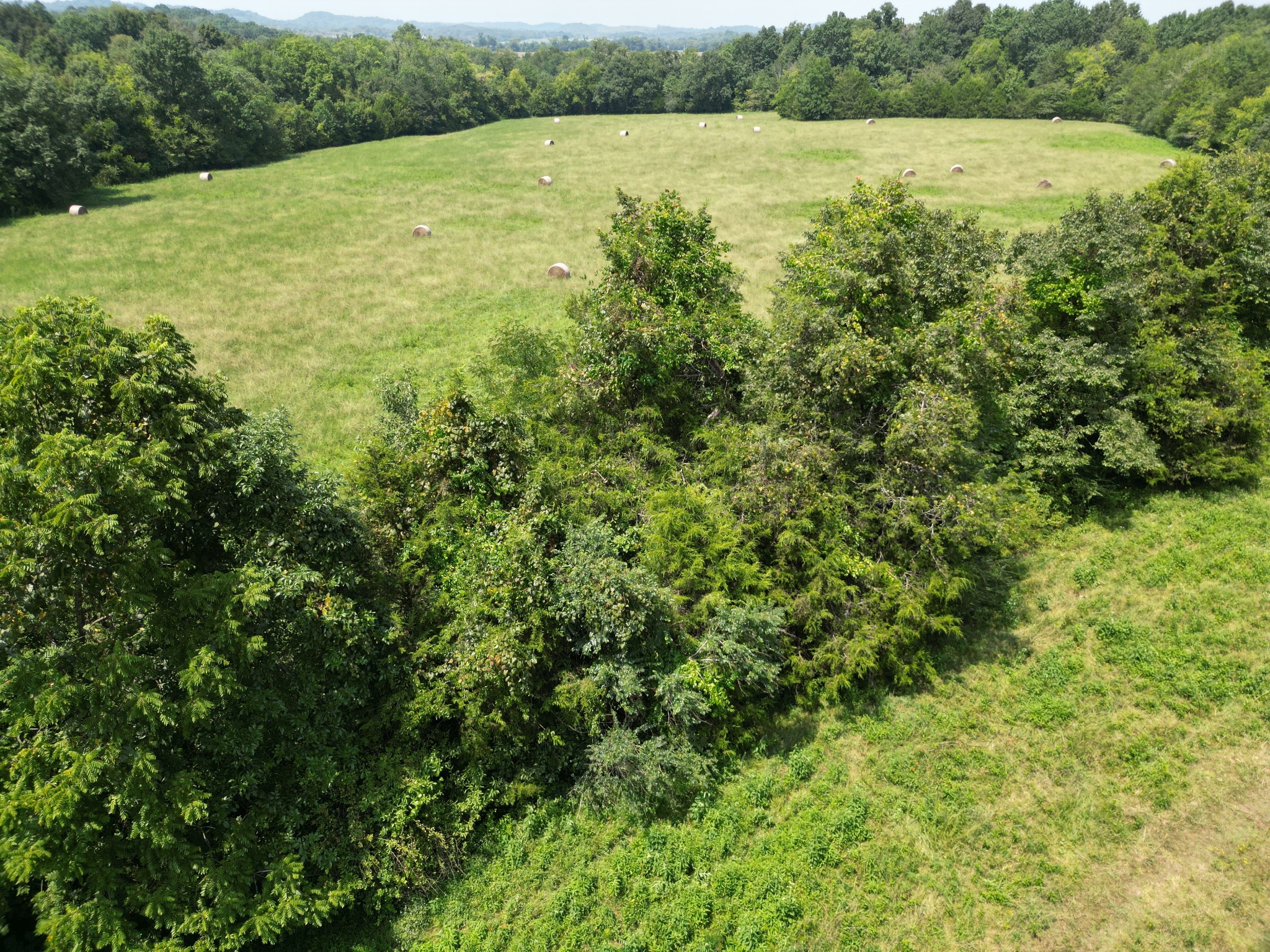 0 Joe Gulley Road Pulaski, TN 38478 - Photo 25 of 42 a view of a green field with a lake view