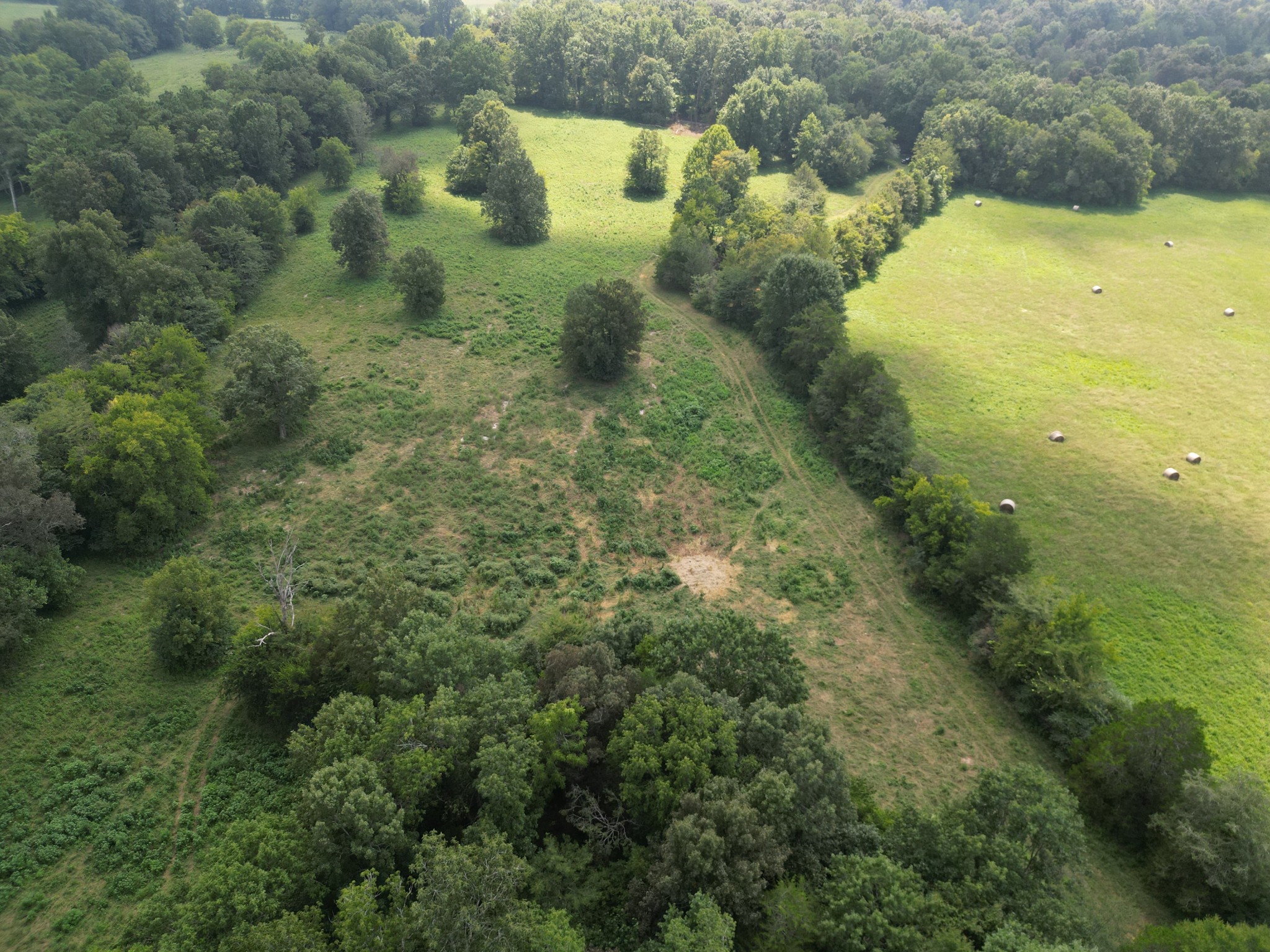 0 Joe Gulley Road Pulaski, TN 38478 - Photo 30 of 42