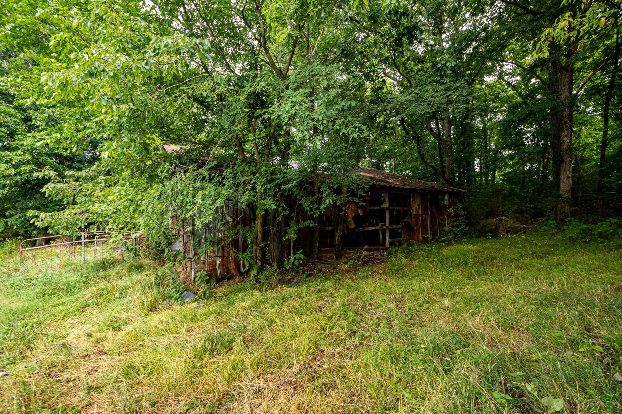 0 Joe Gulley Road Pulaski, TN 38478 - Photo 3 of 42 a backyard of a house with table and chairs